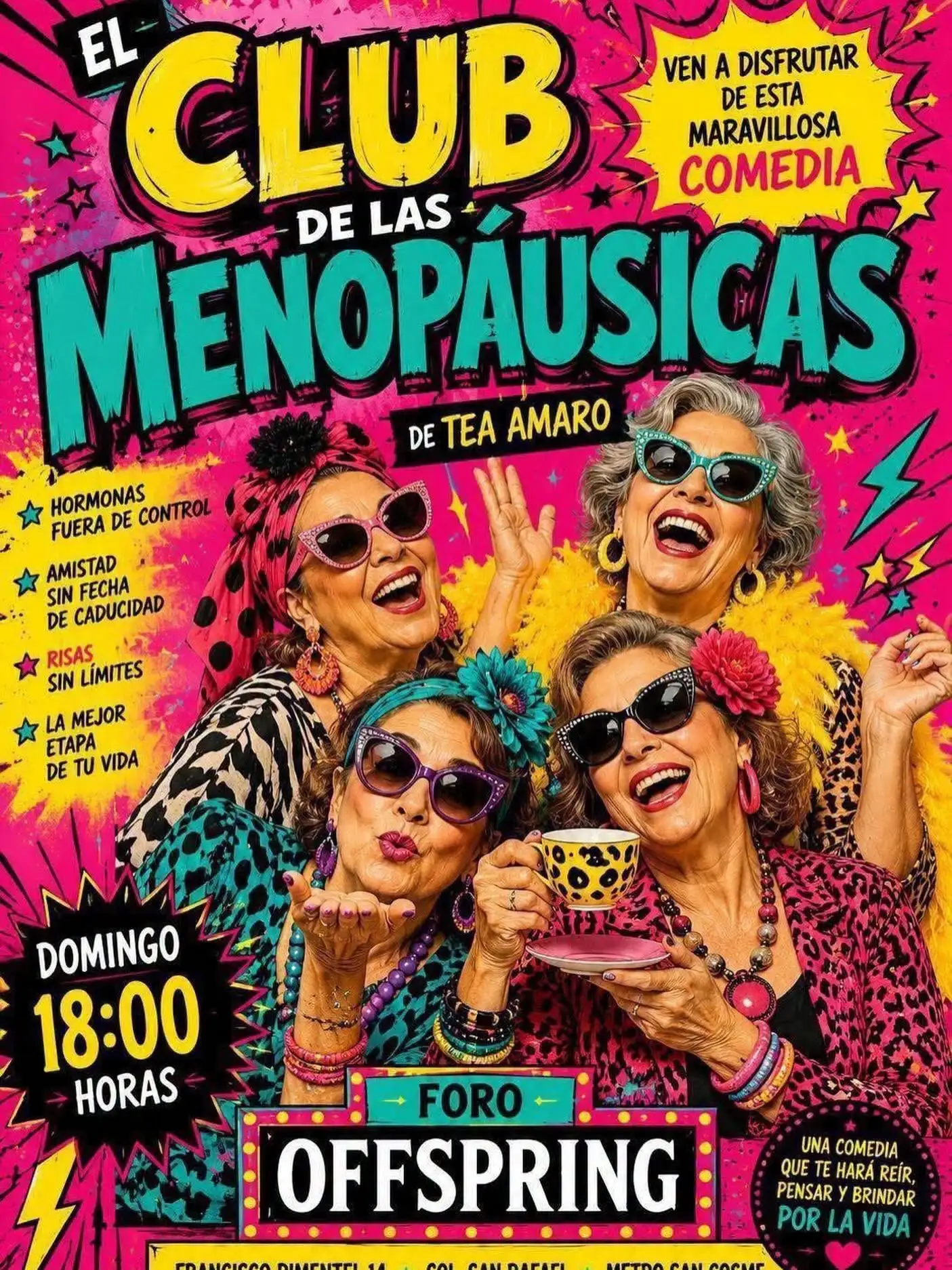 Cartel El Club de las Menopáusicas